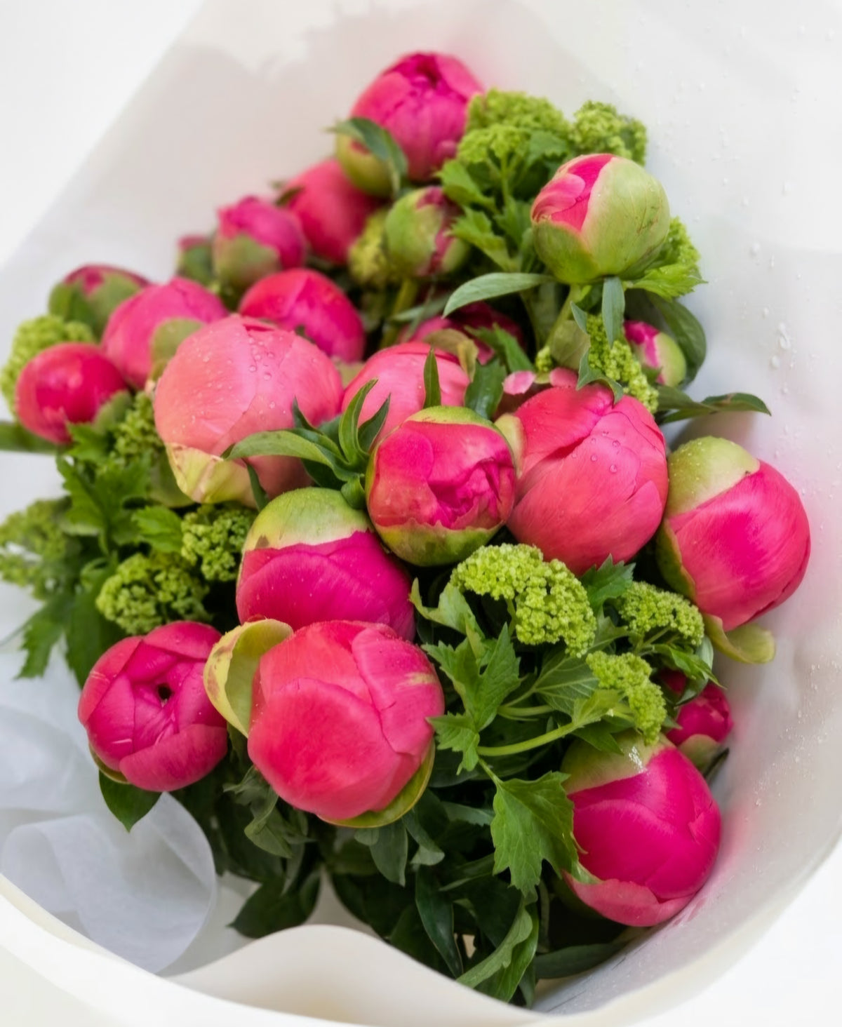 Peony Bouquet