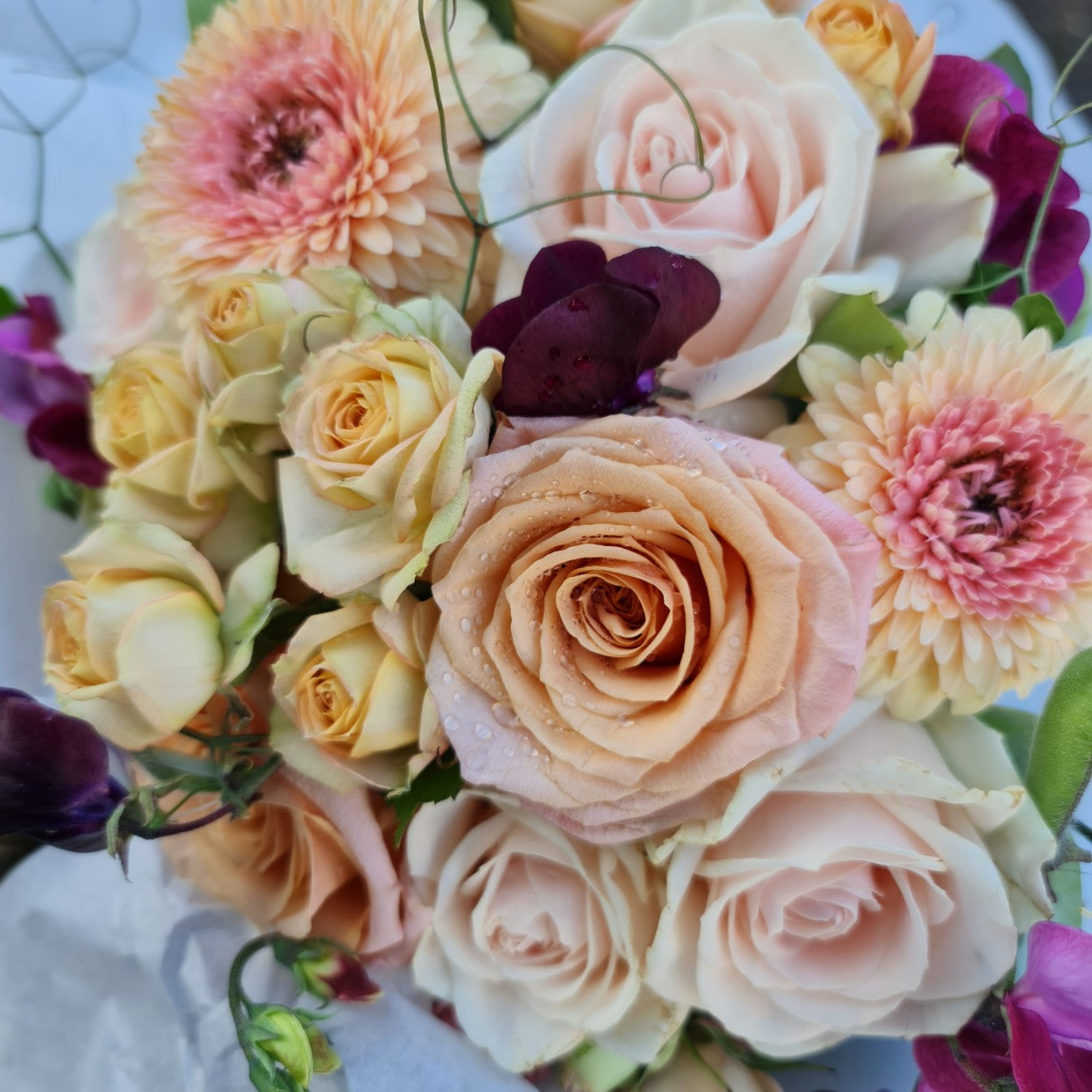 Florist Choice