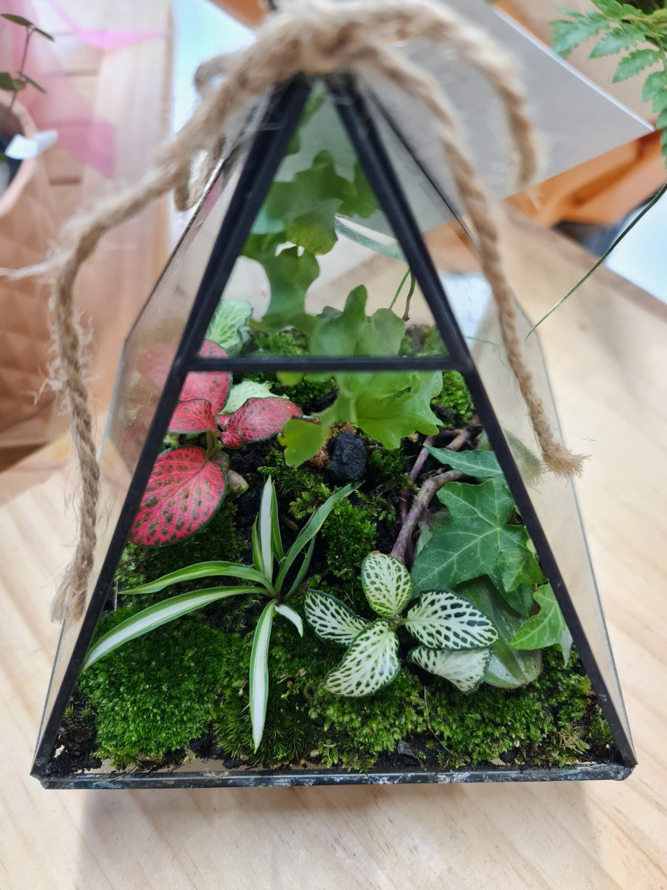 Terrarium