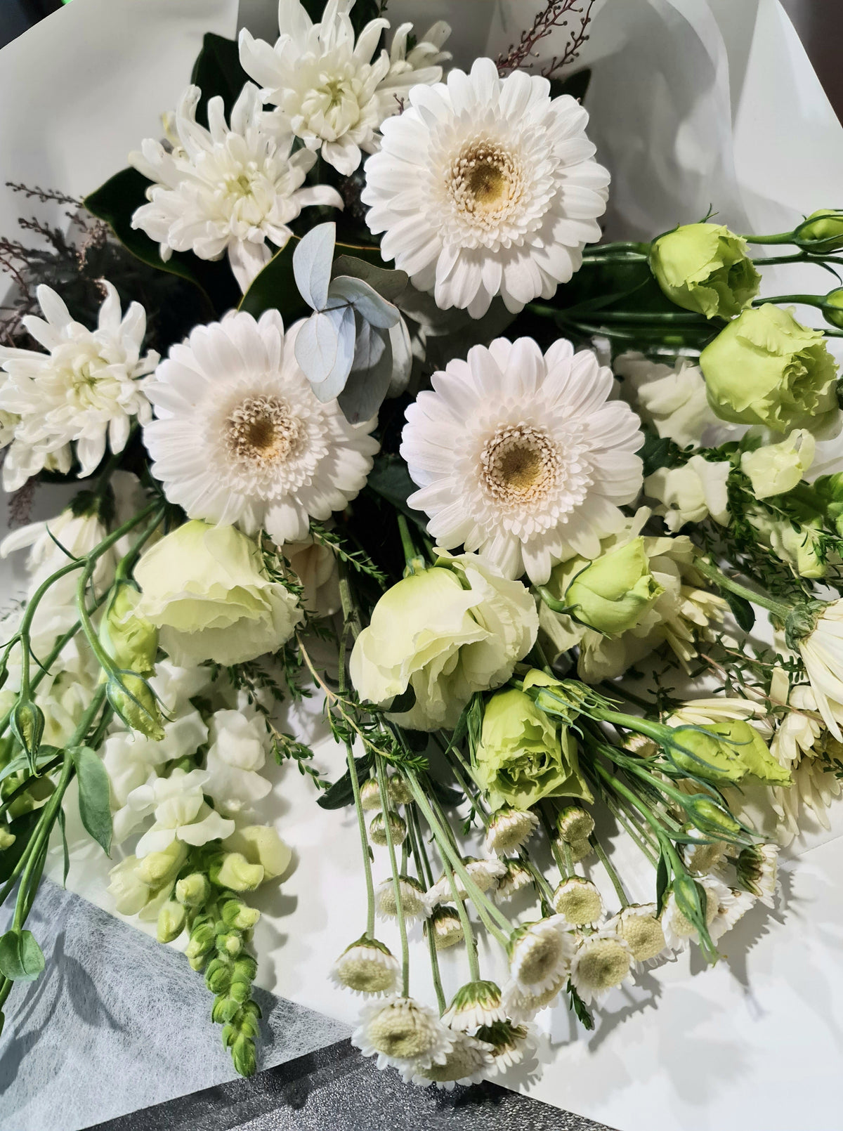 White & Fresh