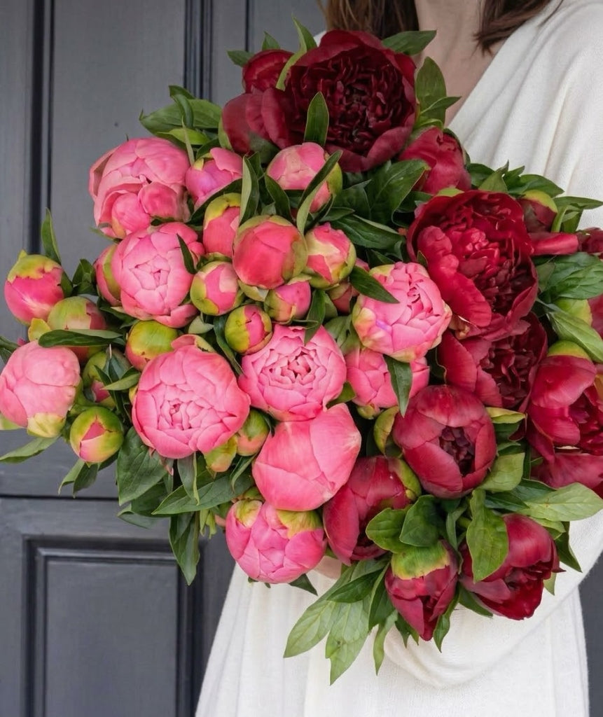 Peony Bouquet - Fresh Seasonal Peonies Hamilton Delivery | Florist Jin