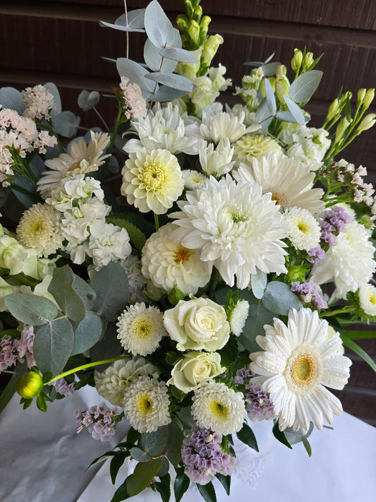 White & Fresh