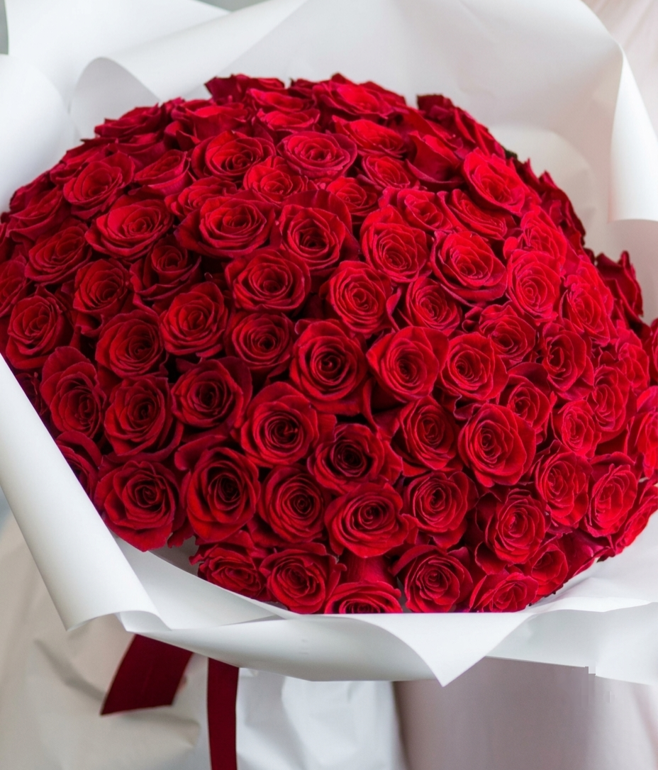 99 Roses - I Love You Bebe ❤️