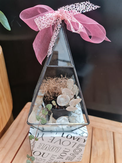 Terrarium